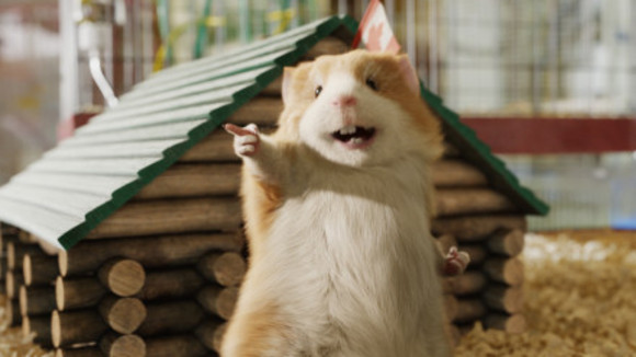 Photo from the movie G-Force