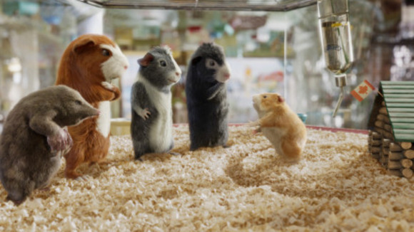 Photo from the movie G-Force