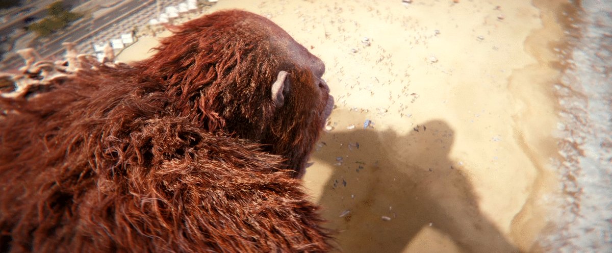 Photo from the movie Godzilla x Kong: The New Empire