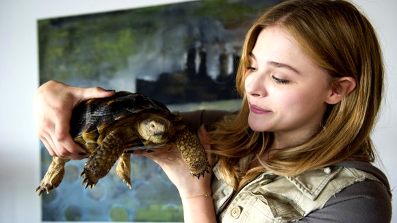 Photo from the movie Laggies