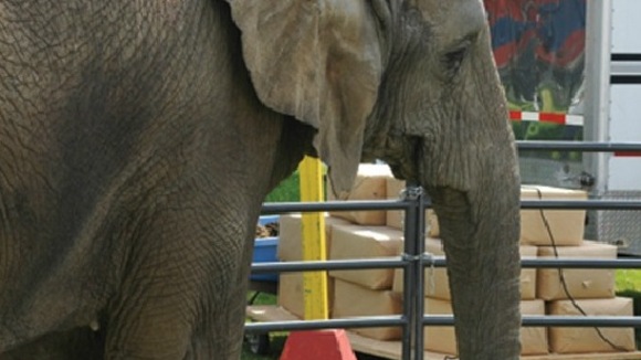 Photo from the movie Sophie