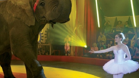 Photo from the movie Sophie