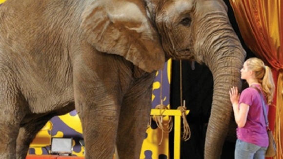 Photo from the movie Sophie