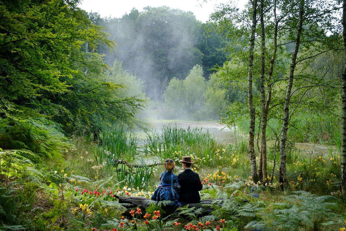 Photo from the movie The Electrical Life of Louis Wain