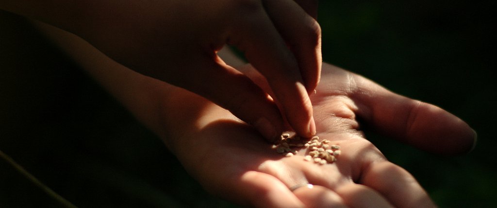 Photo from the movie The Seeker