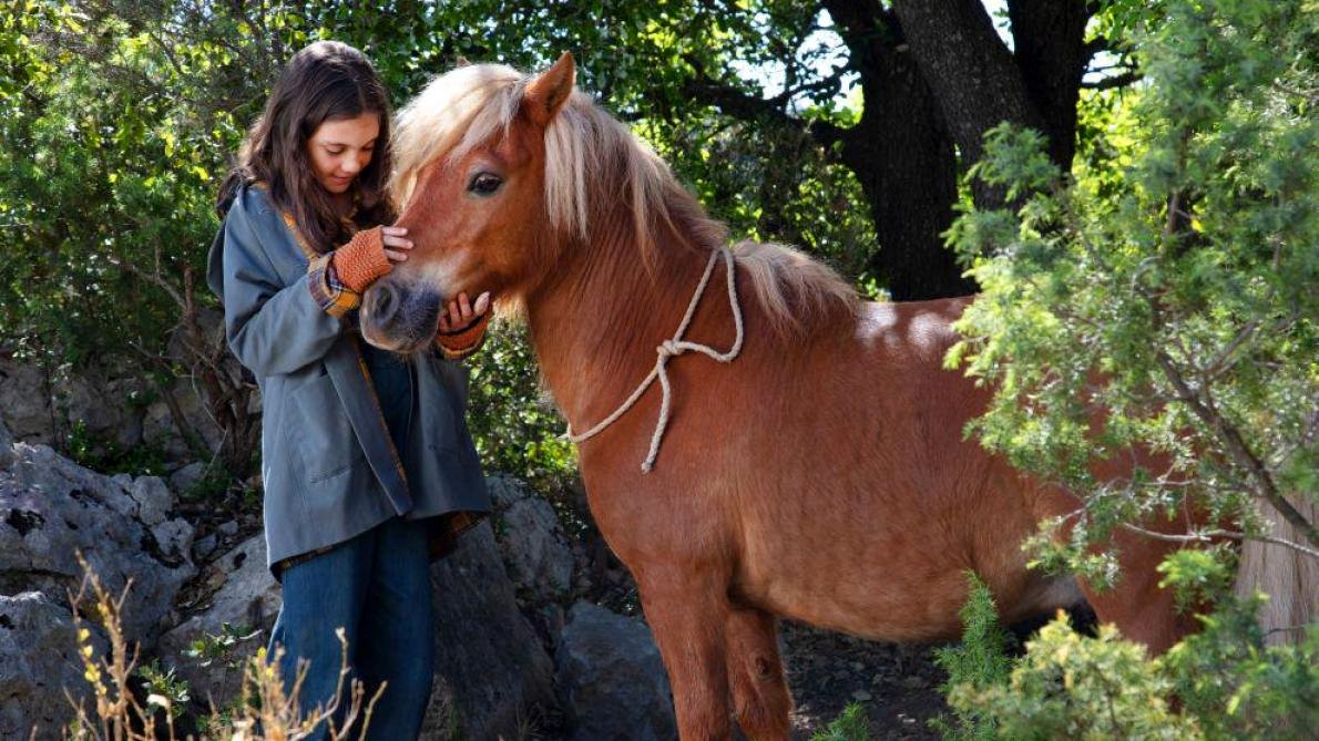 Photo from the movie Poly