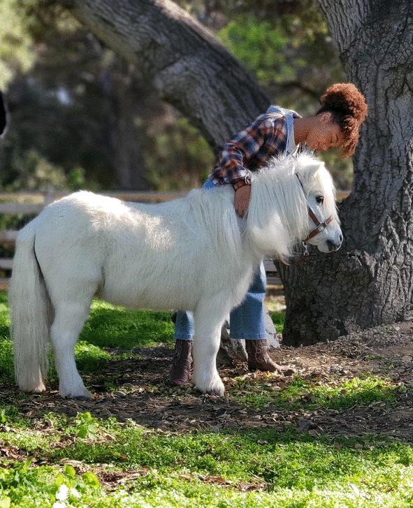 Photo from the movie The Legend of Catclaws Mountain