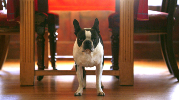 Photo from the movie Nothing Special