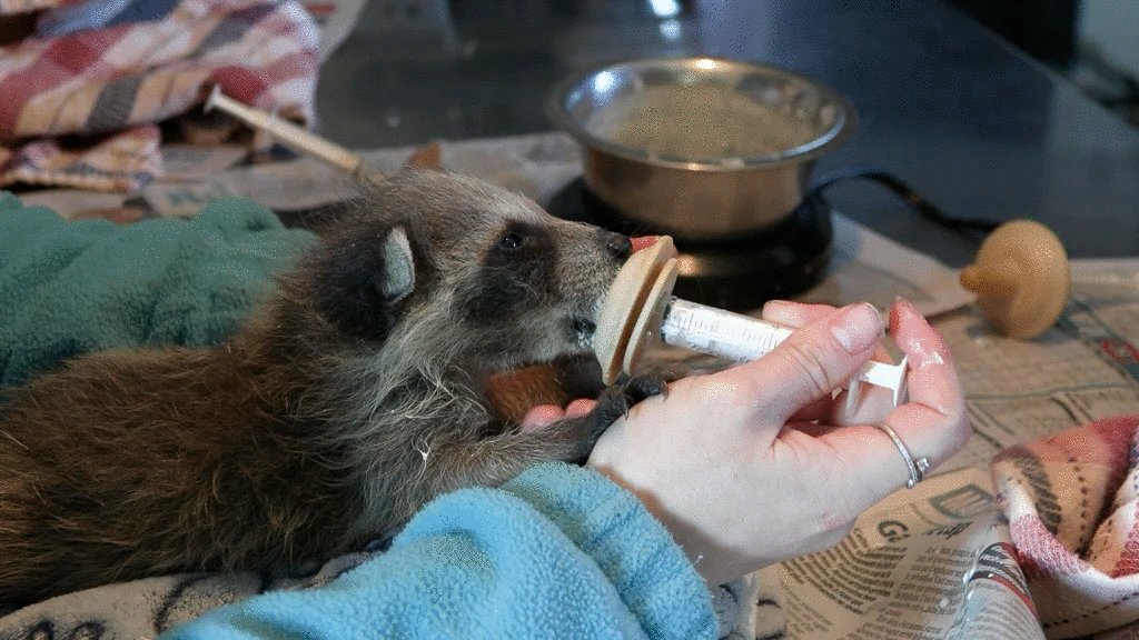 Photo from the movie La saveur d'une vie