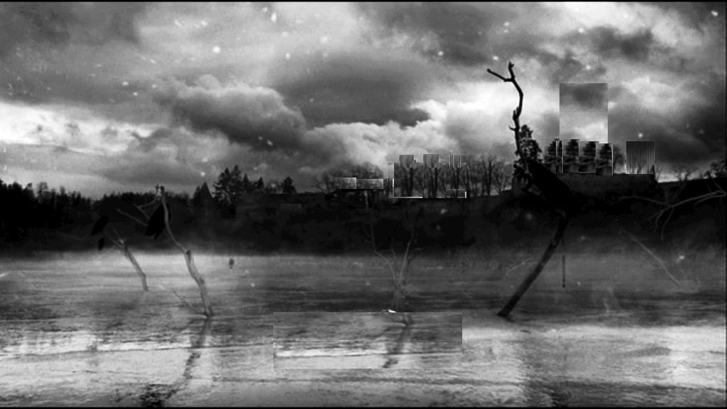 Photo from the movie The Painted Bird