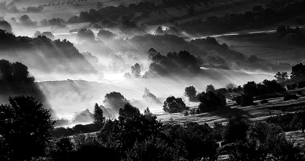 Photo from the movie The Painted Bird