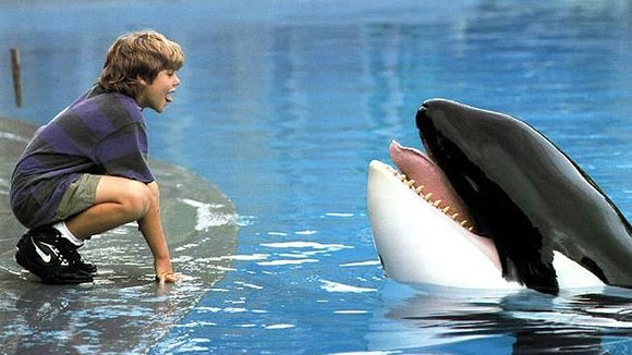 Photo from the movie Free Willy