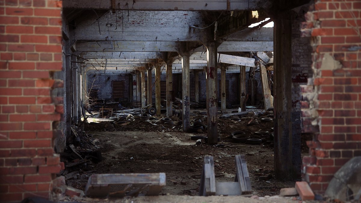 Photo from the movie Greyland