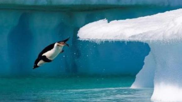 Photo from the movie Oceans