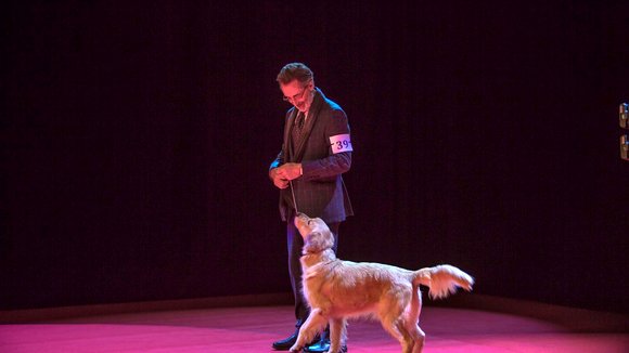 Photo from the movie The New Life of Paul Sneijder