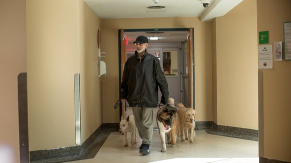 Photo from the movie The New Life of Paul Sneijder