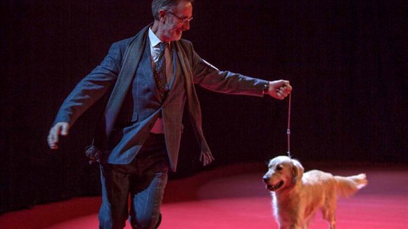 Photo from the movie The New Life of Paul Sneijder