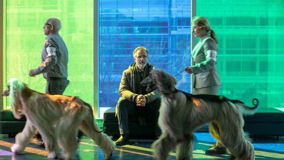 Photo from the movie The New Life of Paul Sneijder