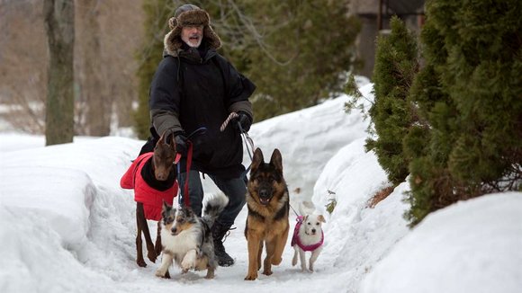 Photo from the movie The New Life of Paul Sneijder