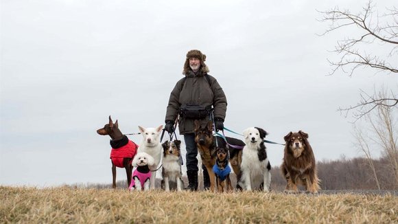 Photo from the movie The New Life of Paul Sneijder