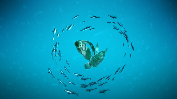 Photo from the movie A Turtle's Tale: Sammy's Adventures