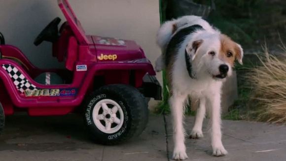 Photo from the movie Wish I Was Here