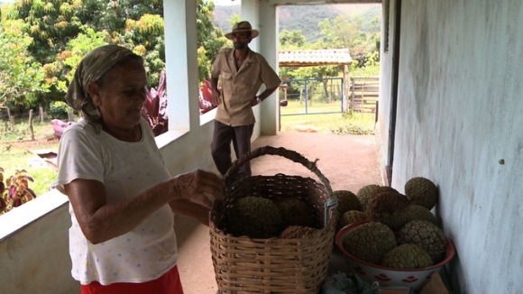 Photo from the movie The Carbon Rush