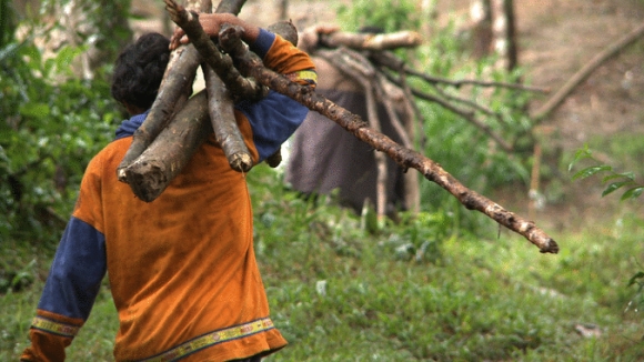 Photo from the movie The Carbon Rush