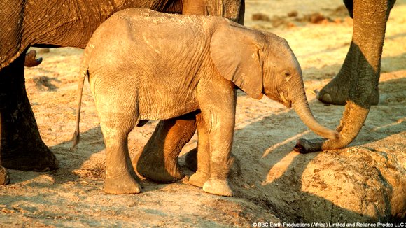 Photo from the movie Enchanted Kingdom