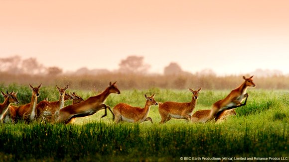 Photo from the movie Enchanted Kingdom
