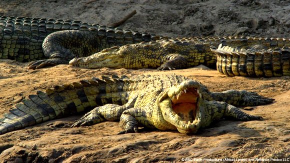 Photo from the movie Enchanted Kingdom