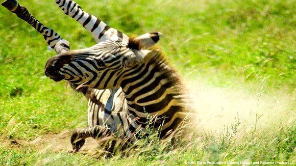 Photo from the movie Enchanted Kingdom