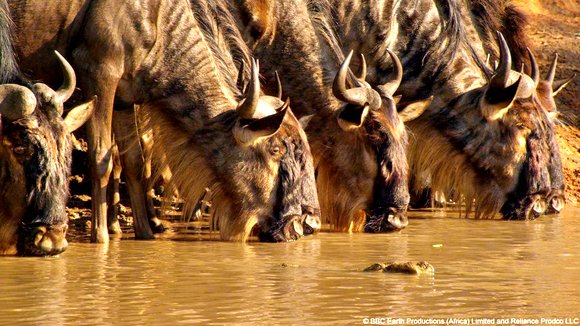Photo from the movie Enchanted Kingdom