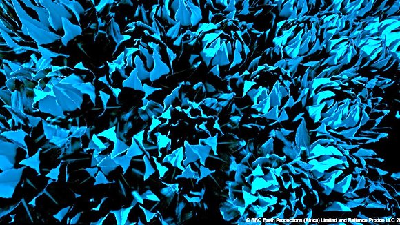 Photo from the movie Enchanted Kingdom