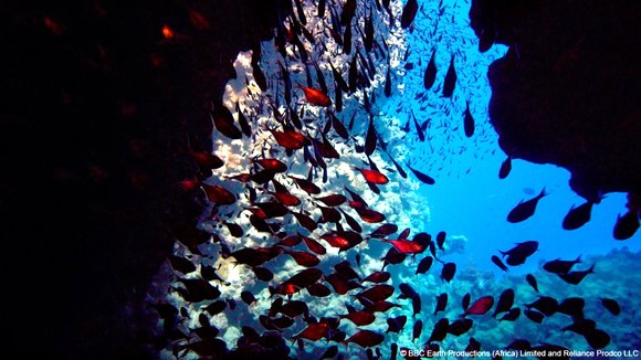 Photo from the movie Enchanted Kingdom