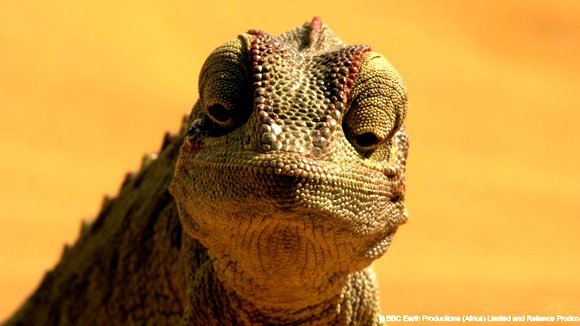 Photo from the movie Enchanted Kingdom