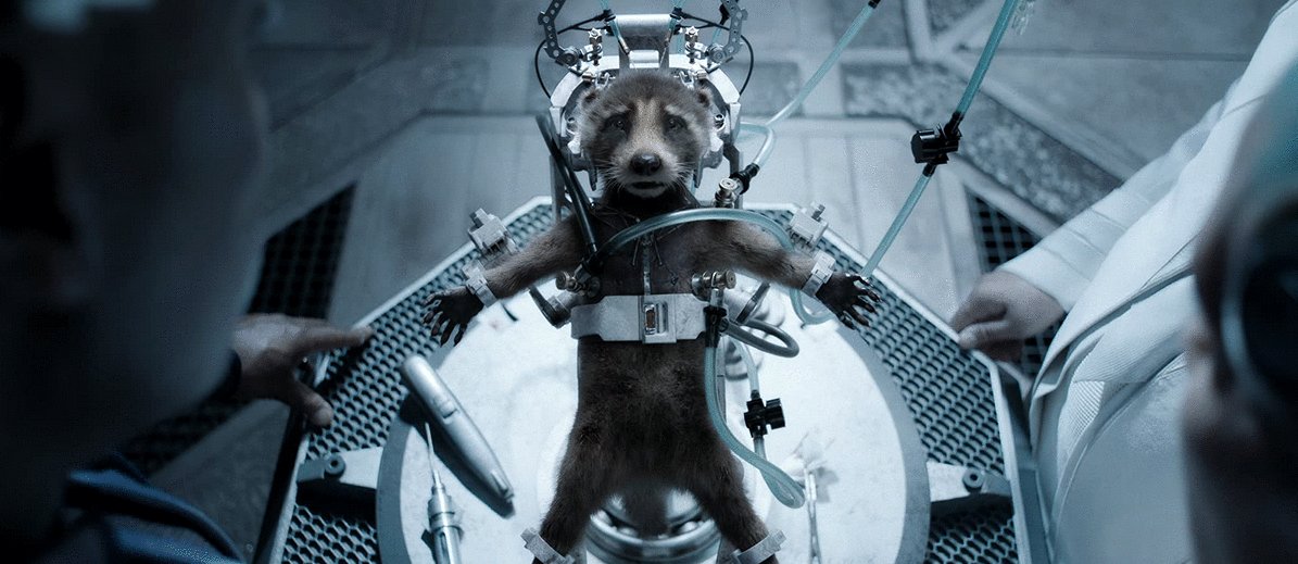 Photo from the movie Les Gardiens de la Galaxie Volume 3