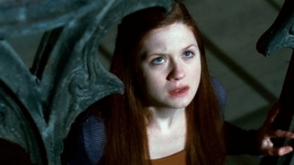 Photo from the movie Harry Potter 8