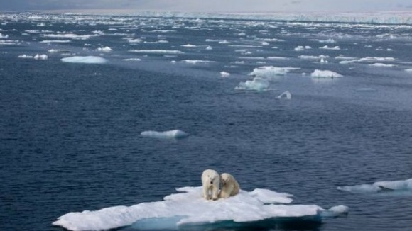 Photo from the movie To the Arctic