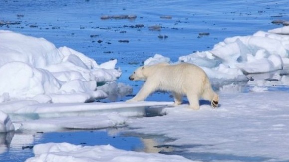 Photo from the movie To the Arctic
