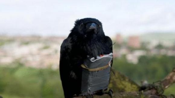 Photo from the movie Four Lions