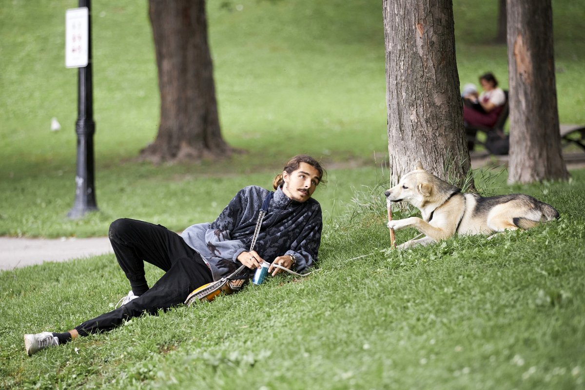 Photo from the movie Une révision