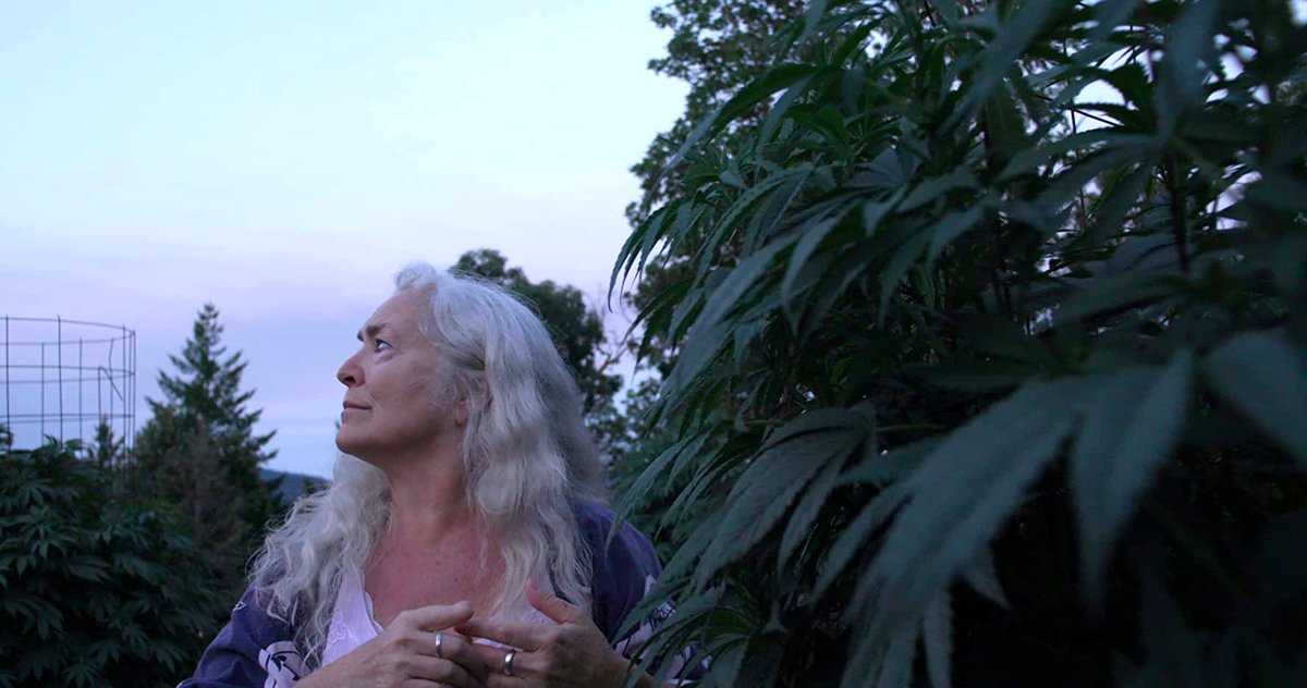 Photo from the movie Freeland