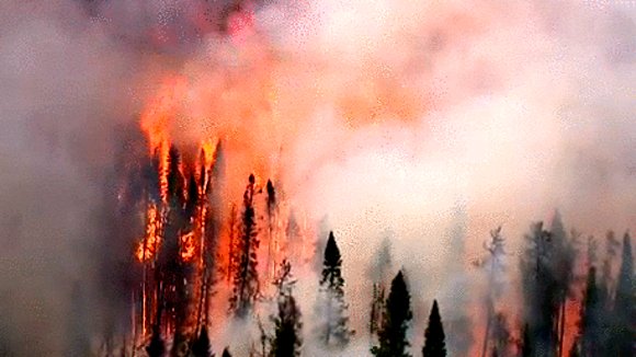 Photo from the movie Saving My Tomorrow