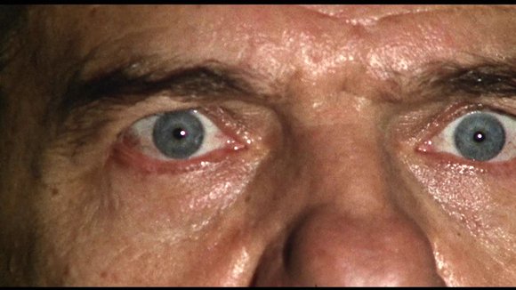 Photo from the movie The Cat o' Nine Tails