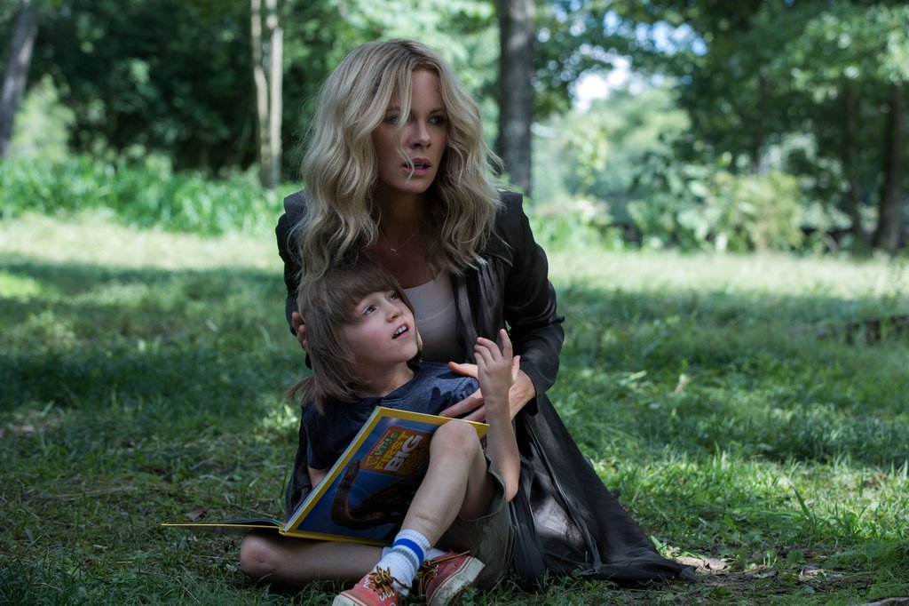 Photo from the movie The Disappointments Room