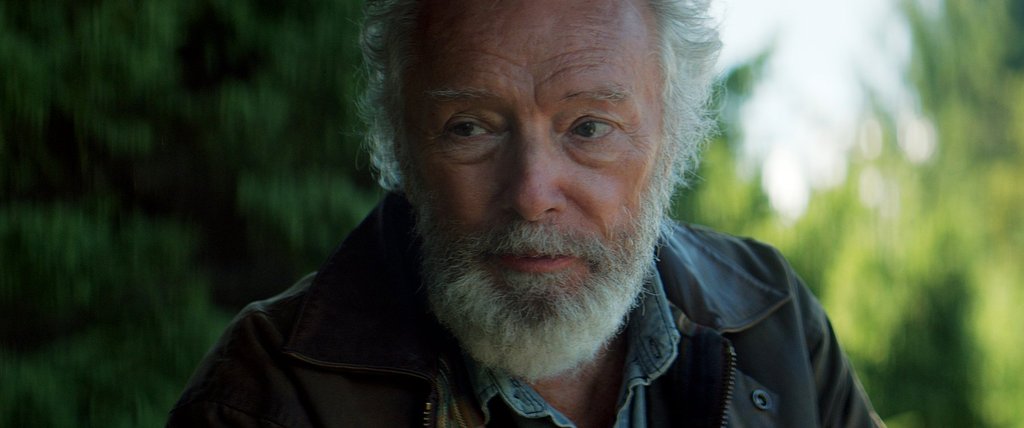 Photo from the movie And the Birds Rained Down