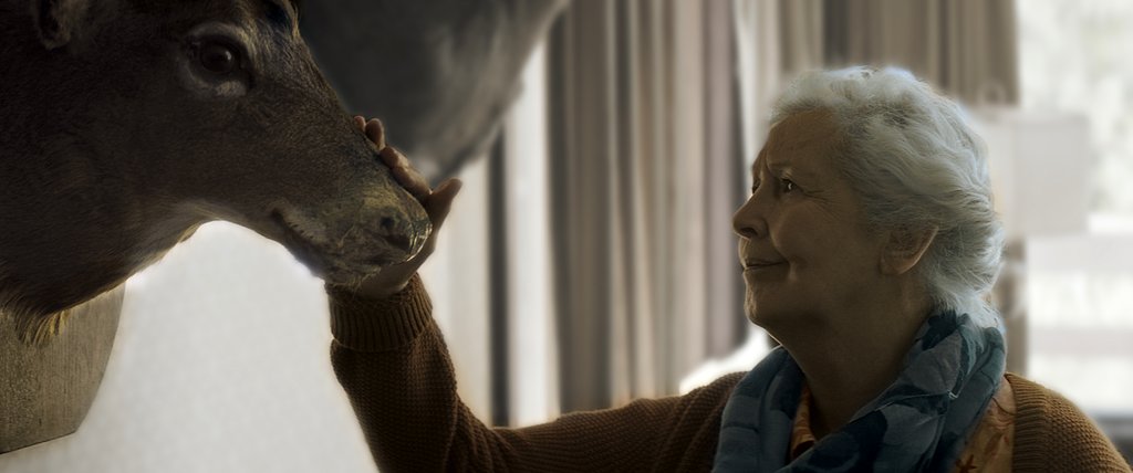 Photo from the movie And the Birds Rained Down