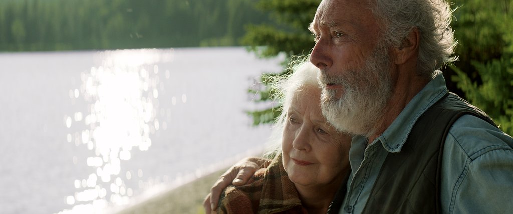Photo from the movie And the Birds Rained Down