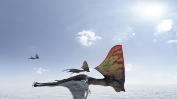 Photo from the movie Flying Monsters